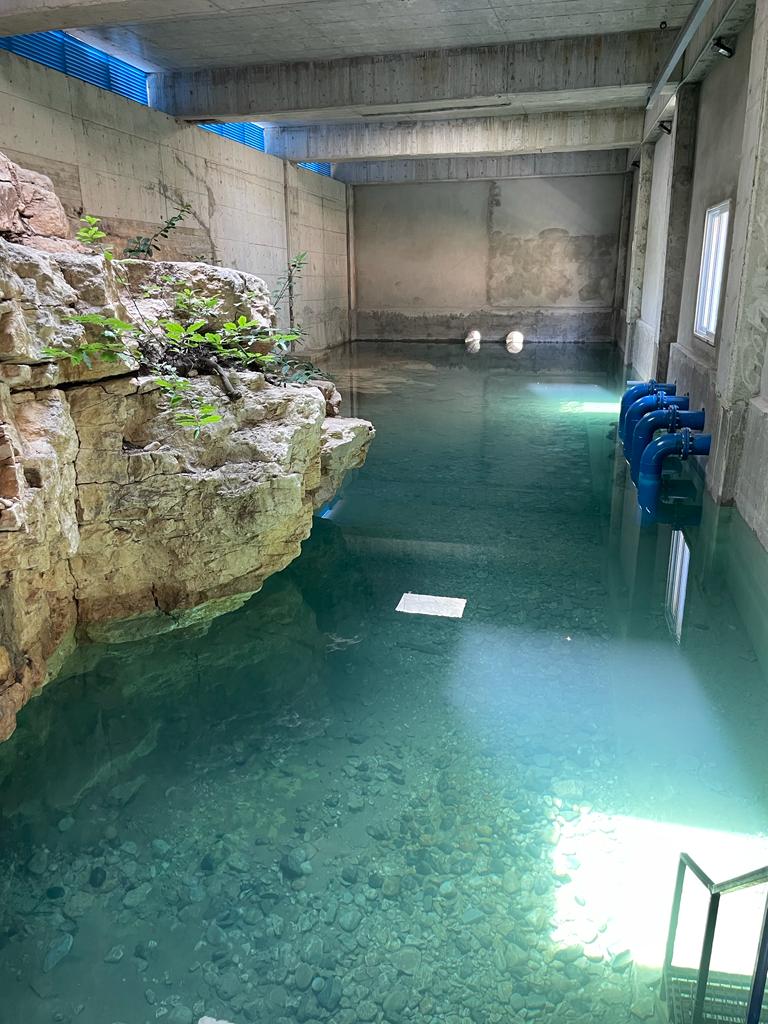 Springs